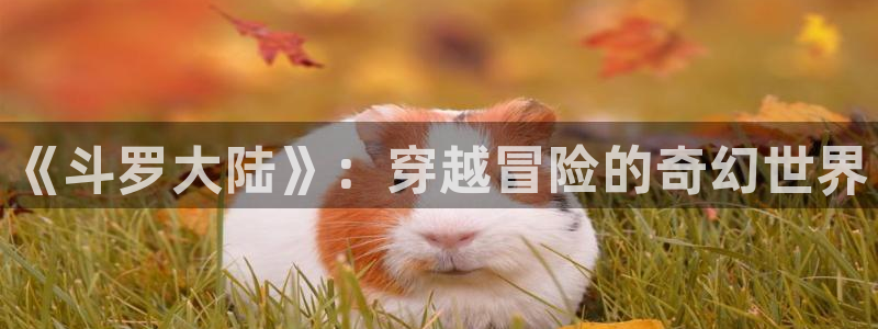 虫虫漫画在线观看页面免费漫画：《斗罗大陆》：穿越冒险的奇幻世界