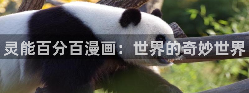 虫虫漫画免费漫：灵能百分百漫画：世界的奇妙世界