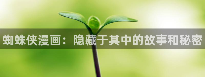 韩漫虫虫漫画：蜘蛛侠漫画：隐藏于其中的故事和秘密